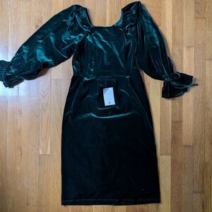 Ivy City Co Velvet Long Sleeve Dress in Deep Green
